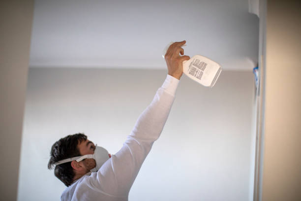 Best Mold Removal Near Me  in Mccrory, AR