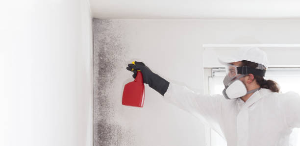 Best Mold Cleaning Services  in Mccrory, AR